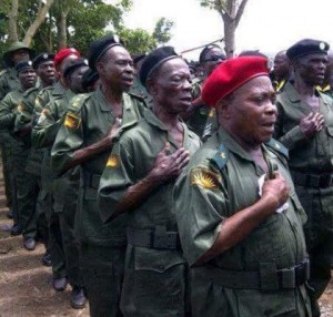 Veterans of Biafran Army stage solidarity march