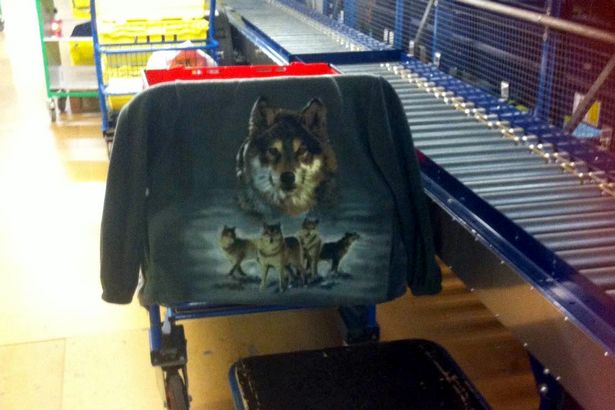 The wolf motif fleece photo on Facebook that led to Troy Garrod from Norwich being sacked from his job | Albanpix.com