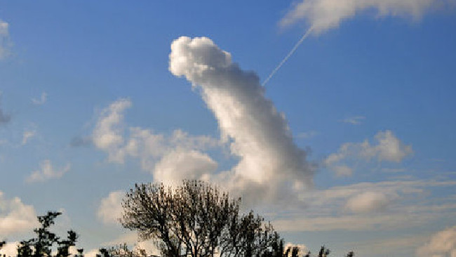It’s a bird, it’s a plane... the ‘Mona Lisa of sky penises’, taken by “Villager Jim” over Derbyshire in July 2014. | www.westerndailypress.co.uk