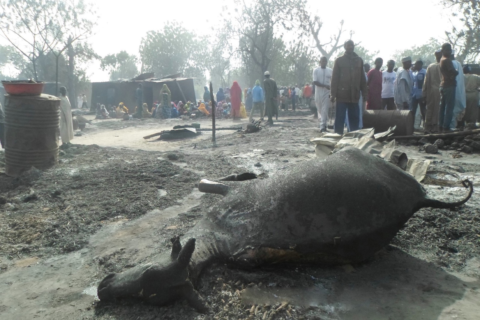 People gather around a dead animal and burnt out houses following an attack by Boko Haram in Dalori village 5 kilometers (3 miles) from Maiduguri, Nigeria , Sunday Jan. 31, 2016. | AP/Jossy Ola