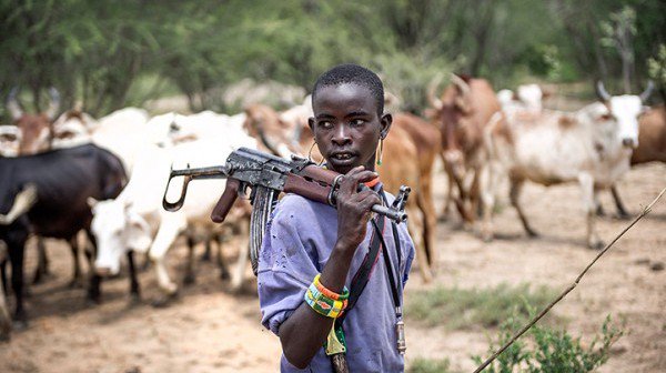 Charles Chrisanthus, Tekas Adiel, Musa Habibu, Herdsman