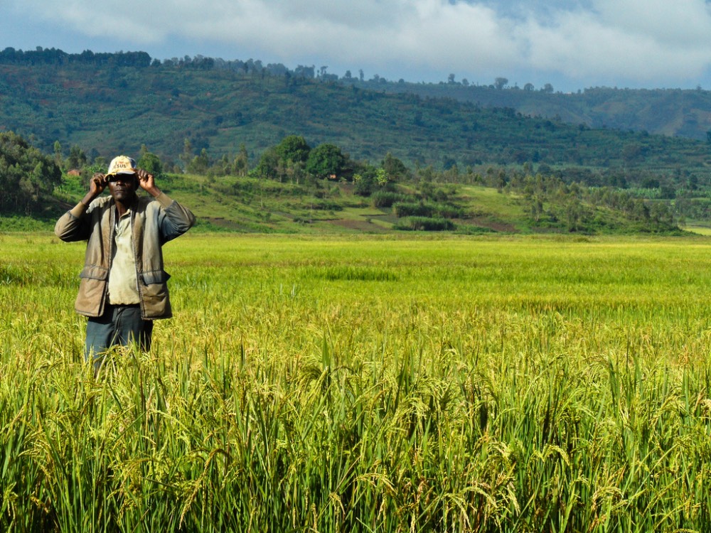 African farmer food farming