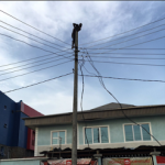 Lagos Man pole