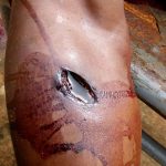 13323628_1086937814675528_9121240046798740280_o