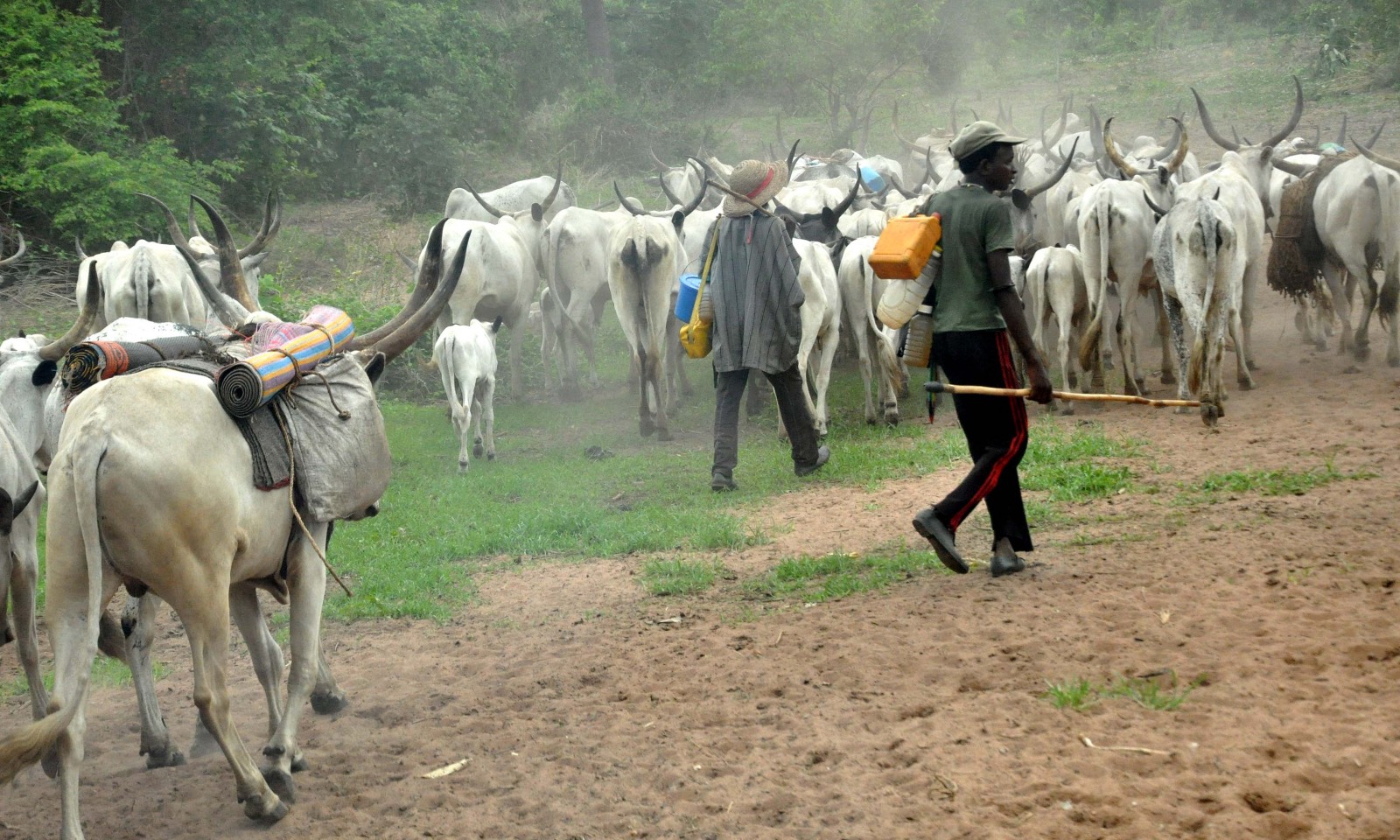 Jaye Mohammadu, Abdulateef Adebisi, Herdsmen