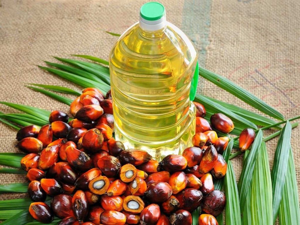 Is Palm Oil Safe The Good, The Bad, And The Really Ugly The Trent