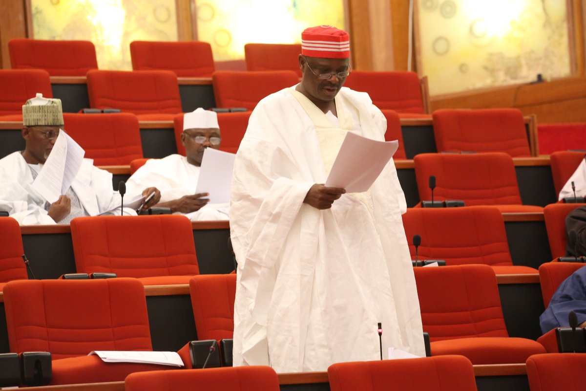 Senator Ali Ndume on the floor of the Nigerian Senate