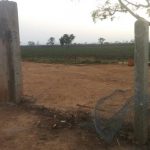 EFCC Alex Badeh Farm