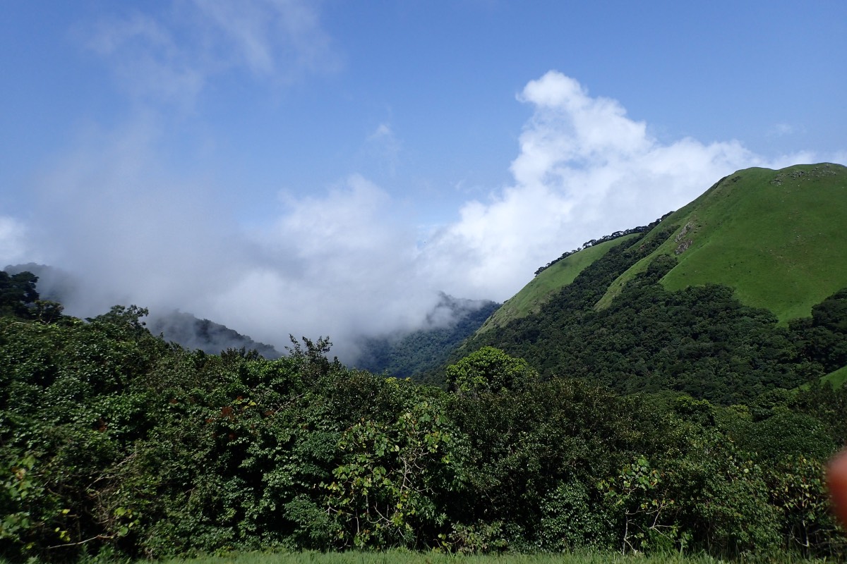 Cross River National Park