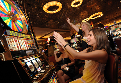 bingo slot machines 