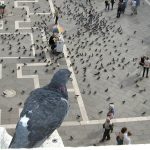 Birds eye view travel