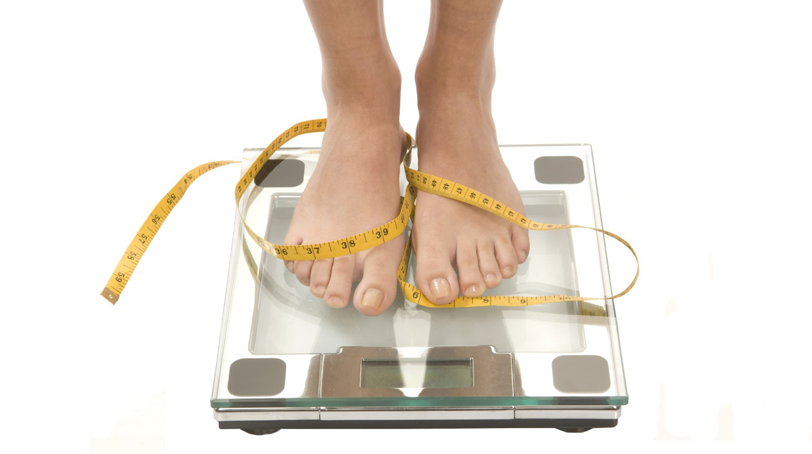 fat burner Weight weightloss eating diet