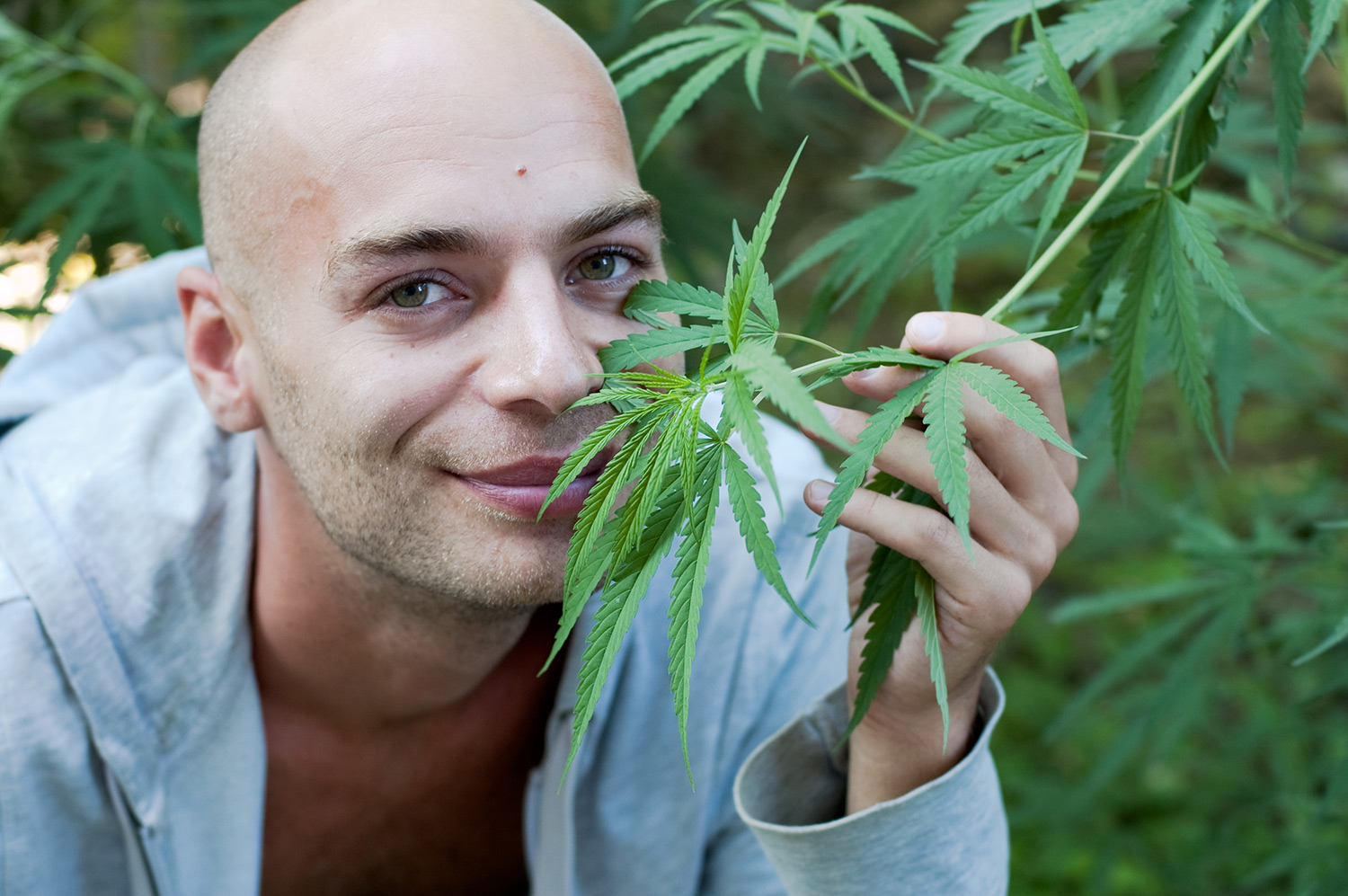 marijuana growing