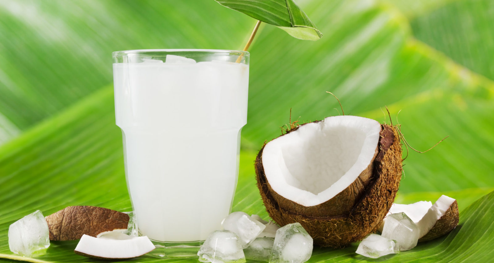 coconut water