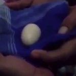 Teenage, Akmal, Indonesia, Eggs