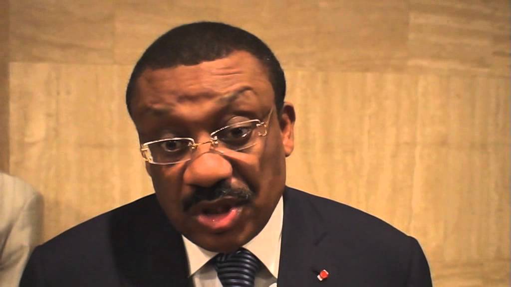 Cameroun, Minister, Arrested