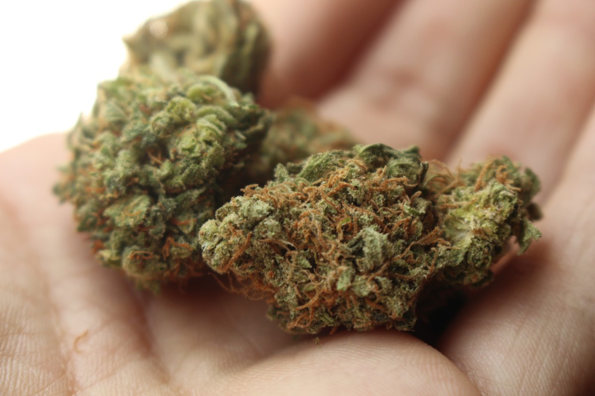 Marijuana, Raymond Zondo, South African
