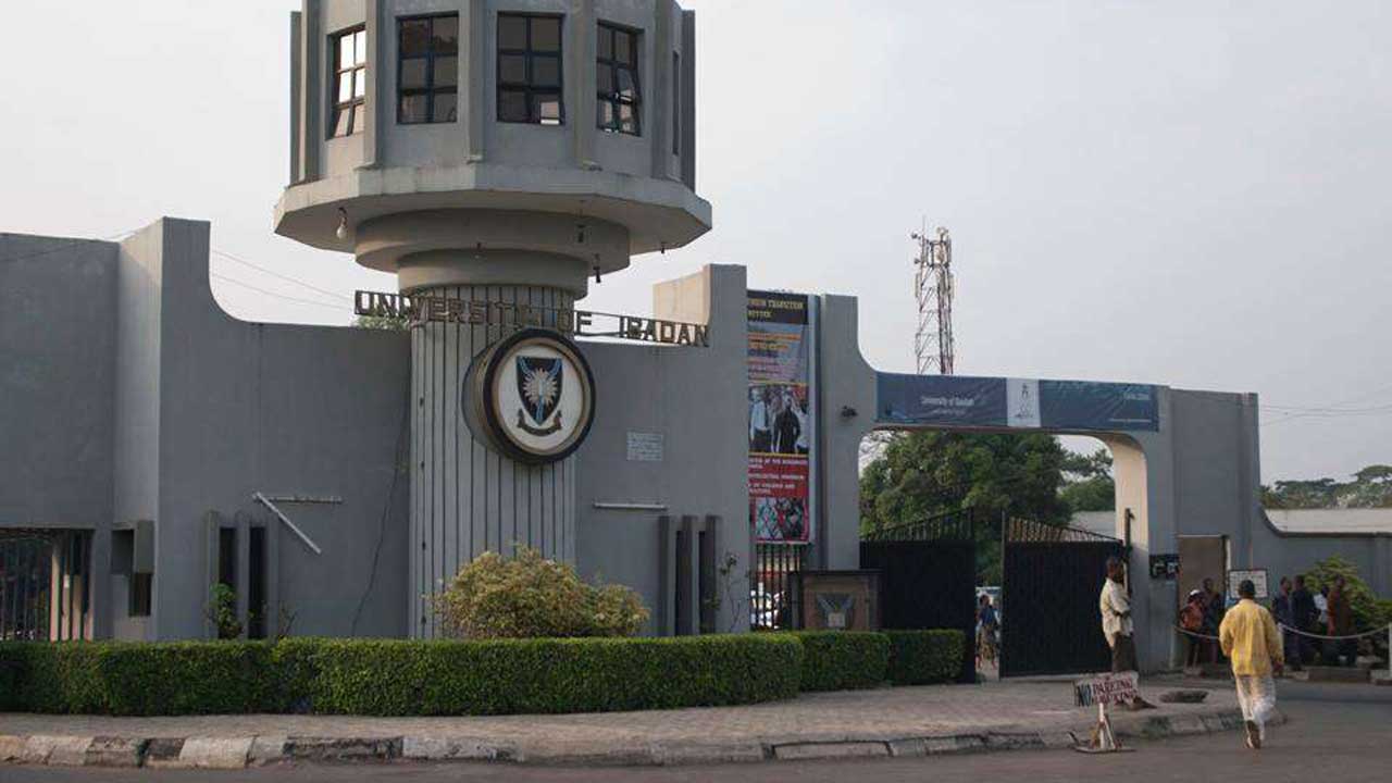 University Of Ibadan, Withdraw, Student, Performance