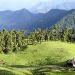 Chopta, Uttarakhand 1_Fotor