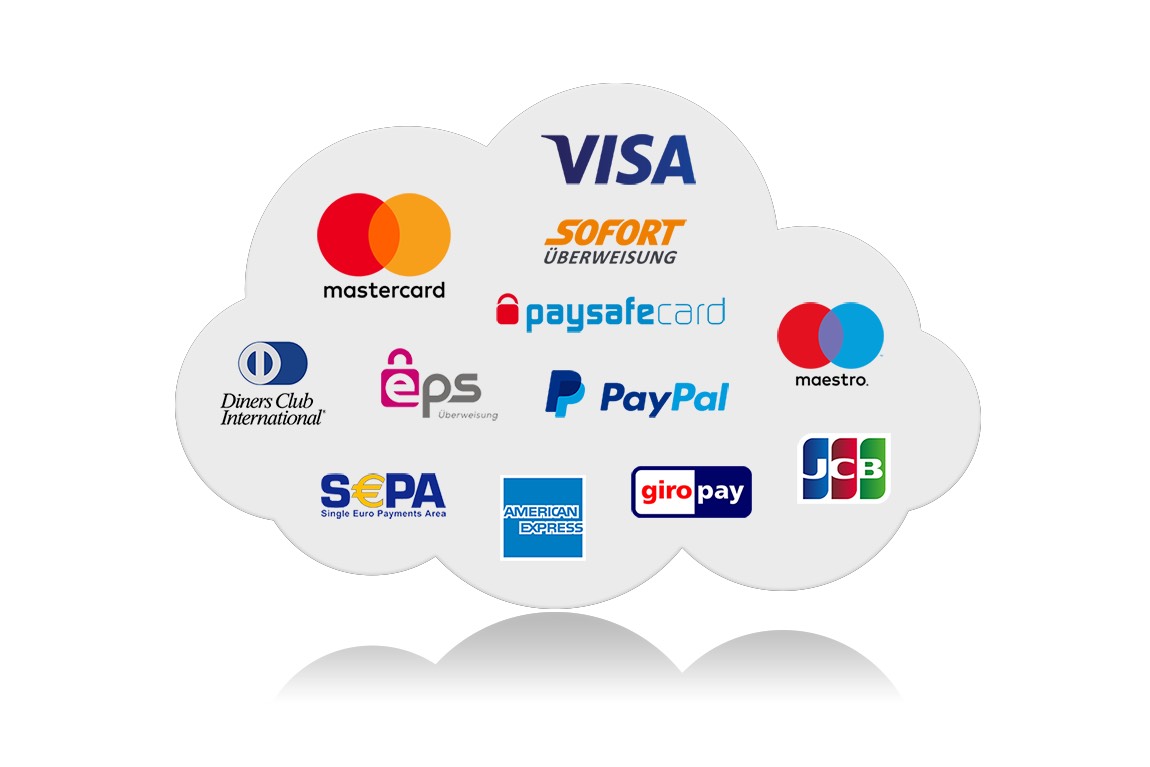 , payment service provider, payment system guide