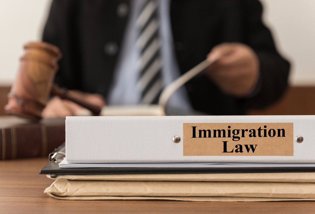immigration lawyer you need