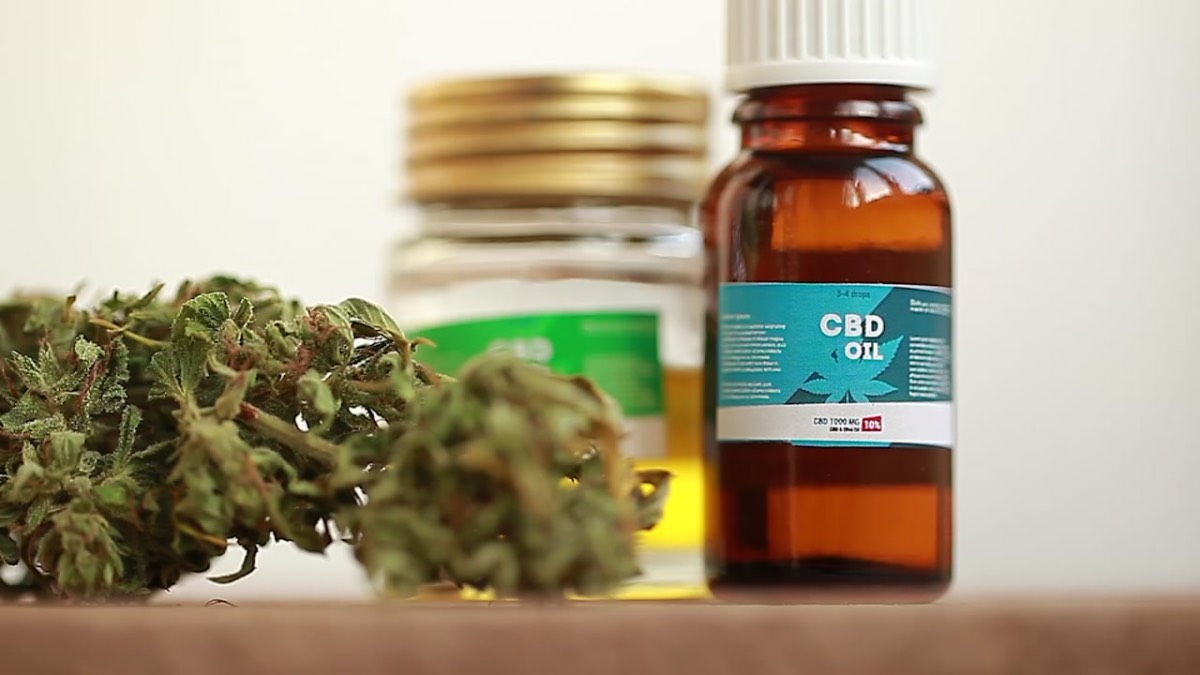 marijuana cannabis weed cbd oil