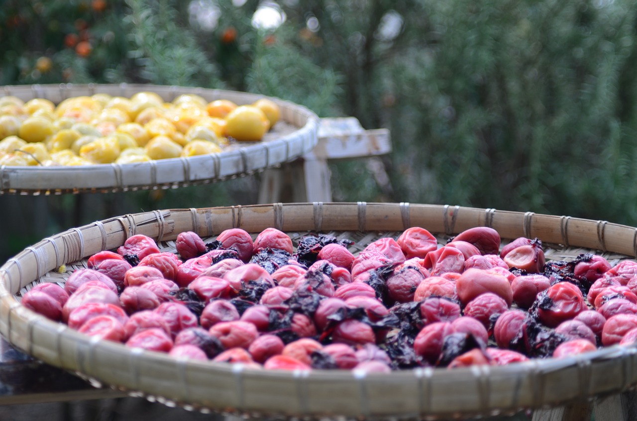 Dried Plums