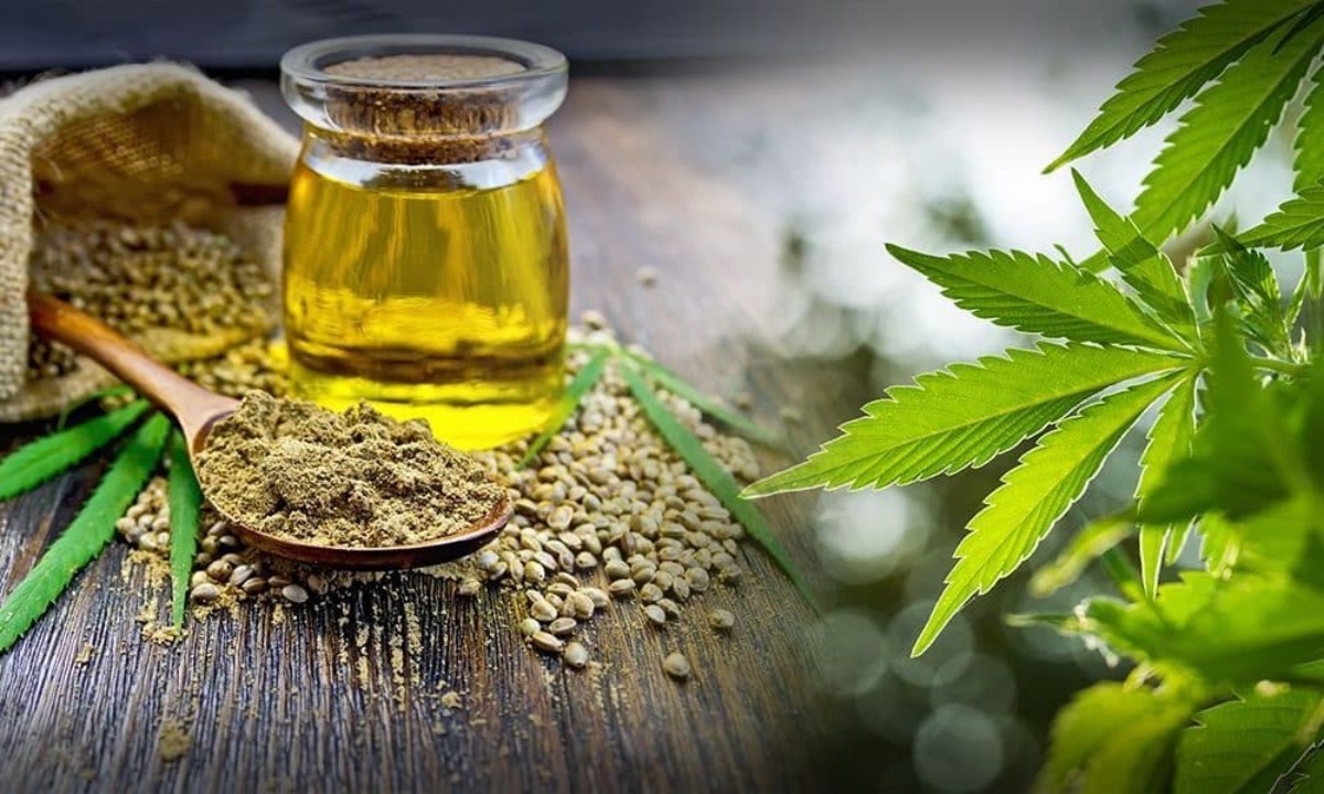 cannabis seed, grow, cbd oil beginners marijuana cannabis weed cbd oil, cannabis seed