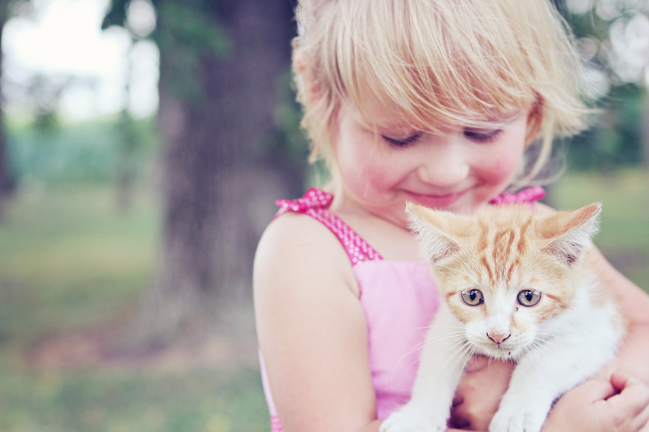 girl pet kids pets child children cat dog