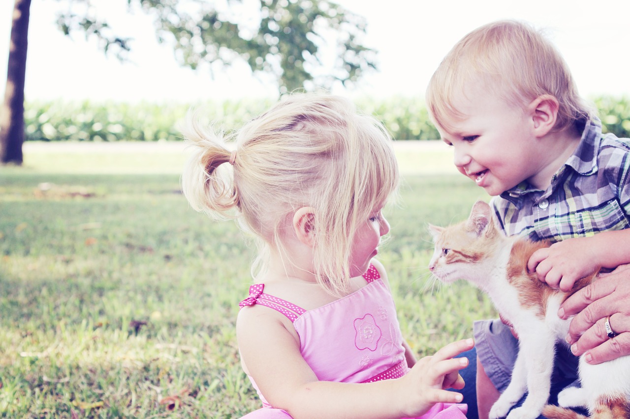 girl pet kids pets child children cat dog