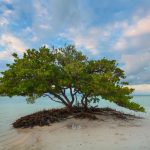 Anne’s Sunset, Anne’s Beach, Islamorada, South Florida