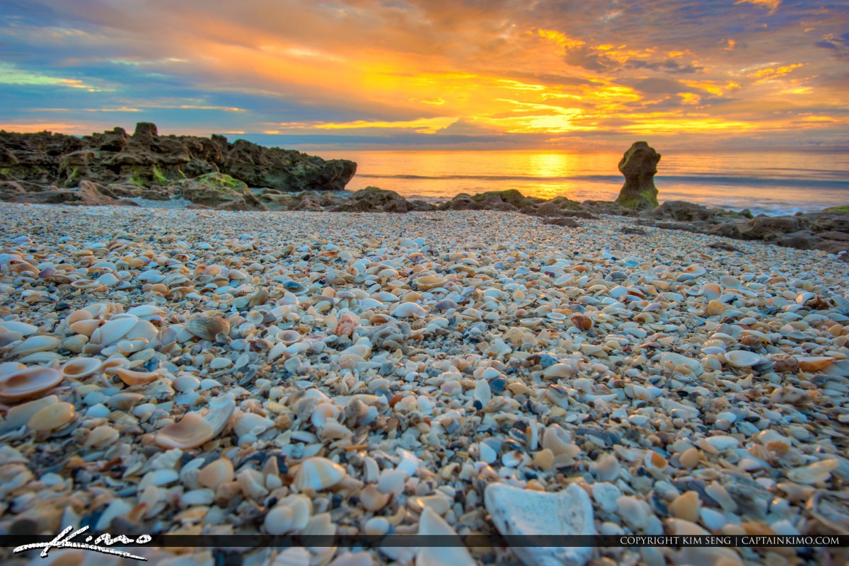 Beautiful early morning sunrise from Jupiter Island along Coral Cove Park during sunrise with millions of shells on the beach. HDR image created using Aurora HDR software by Macphun.