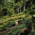 RESIZE_Ethiopia-EmilyGarthwaite-74