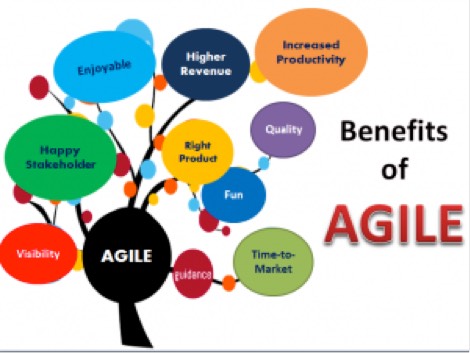 agile knowledge