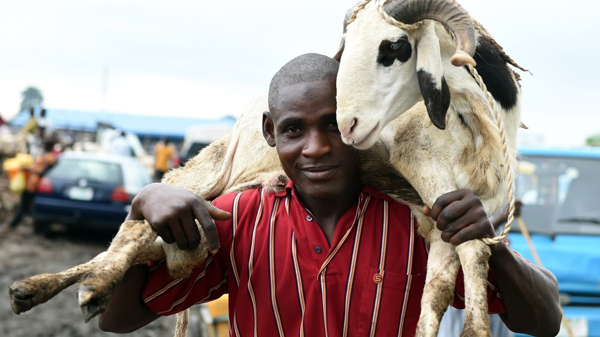 man carries sallah ram