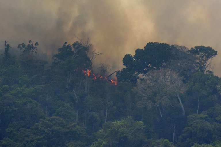 The Amazon is burning | AP Photo/Victor R. Caivano