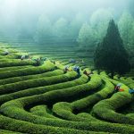 Daehan Dawon, South Korea 3 1.58.39 PM