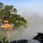 Bokeo Nature Reserve, Laos