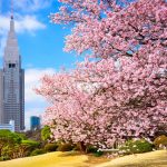 Tokyo Park in the Spring