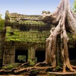 Ta-Prohm-temple-in-Siem-Reap-Cambodia 1.58.39 PM