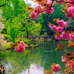 fixedw_large_4x 1.58.39 PM