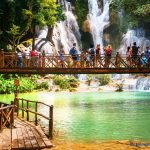 wp4190456 1.58.39 PM