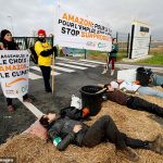 Black Friday Protesters, Amazon