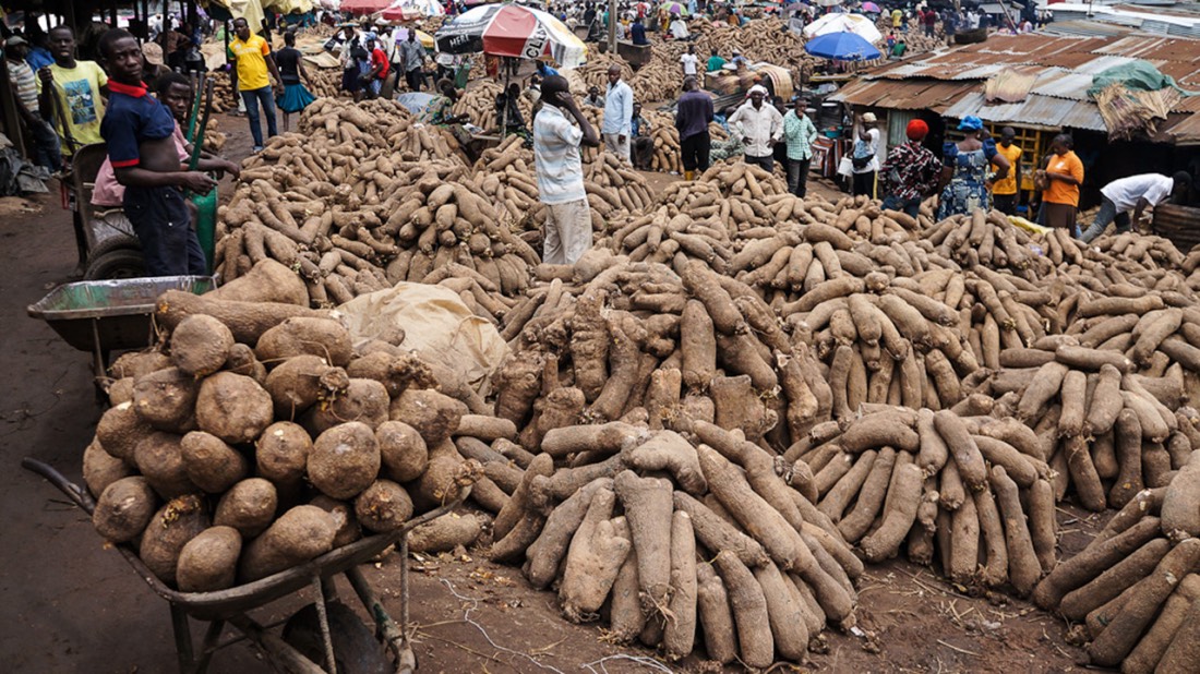 Yams being sold in a local market in Nigeria | NAN Photo