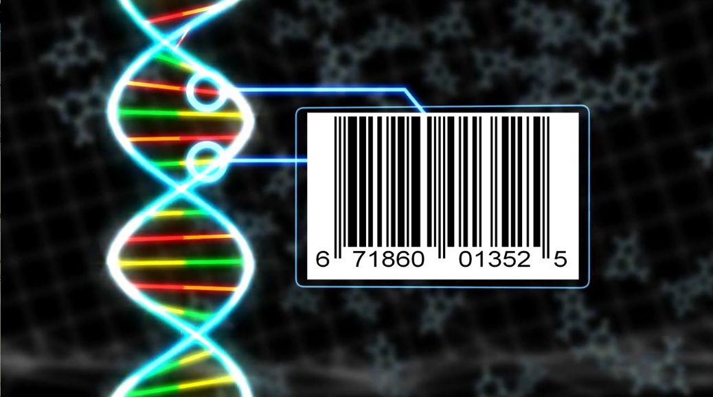 DNA Barcodes