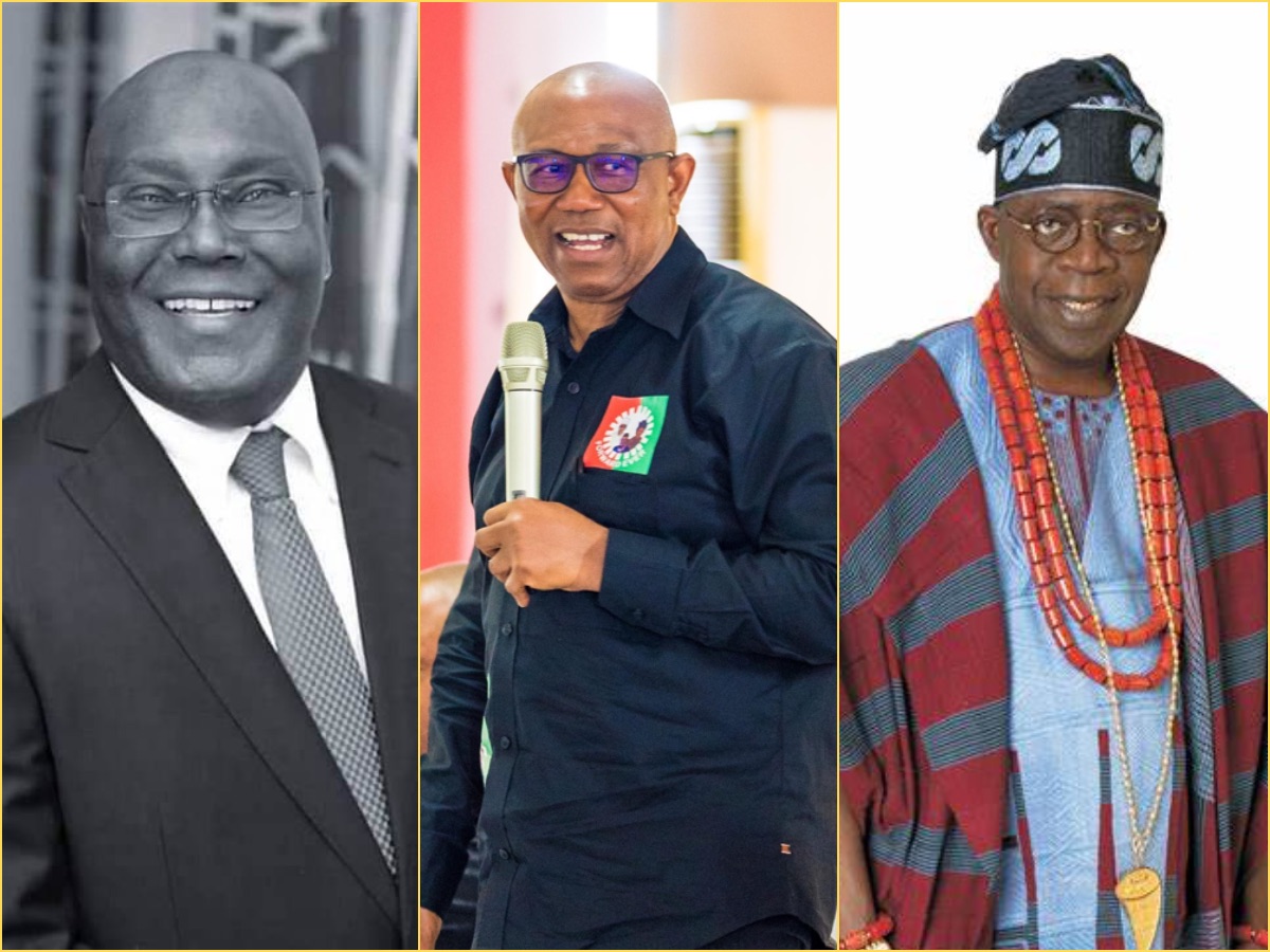 Fitch, New President, Tribunal, Presidential Election