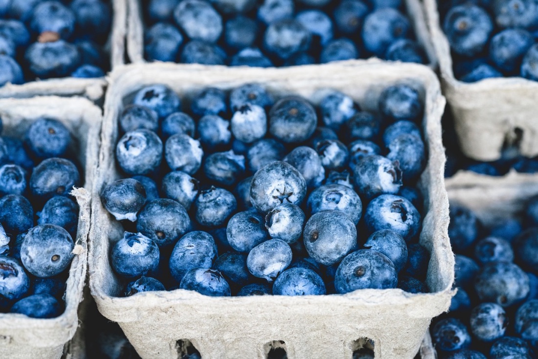 Blueberries | Photo Credit: Pixabay, brain 