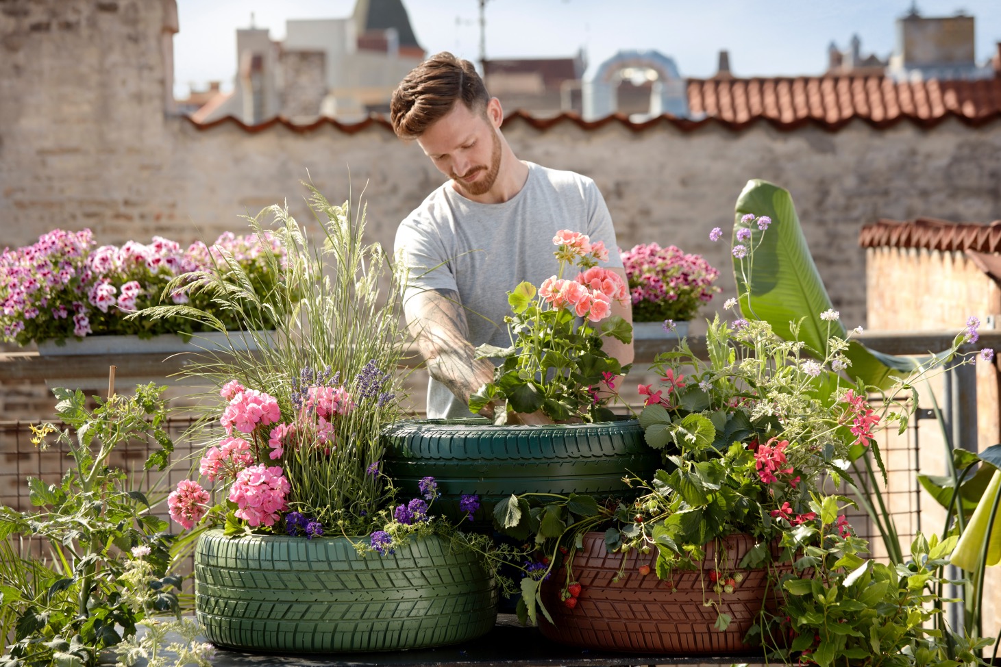 gardening, countryside