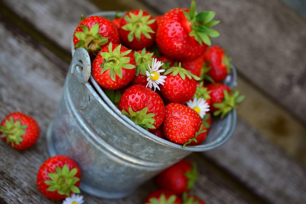 Strawberries | Photo Credit: Pixabay