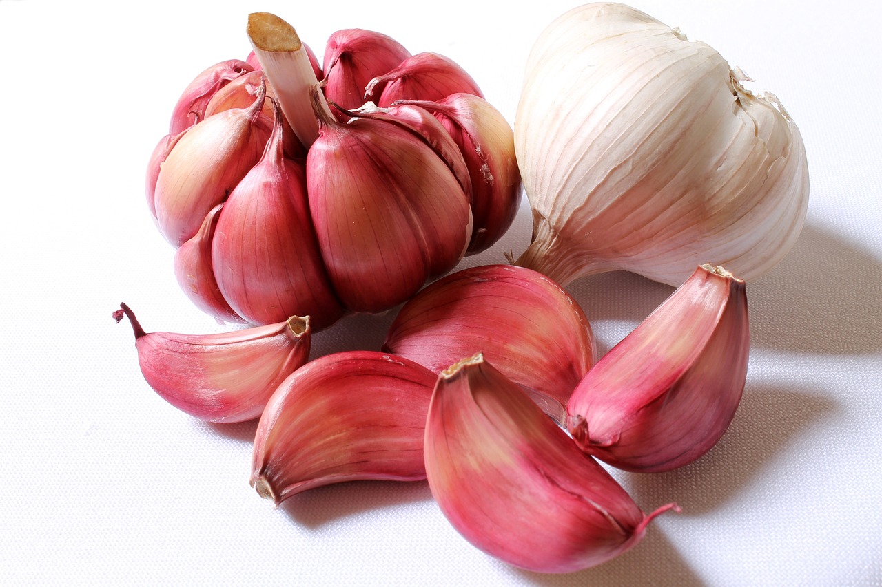 foods, immune system